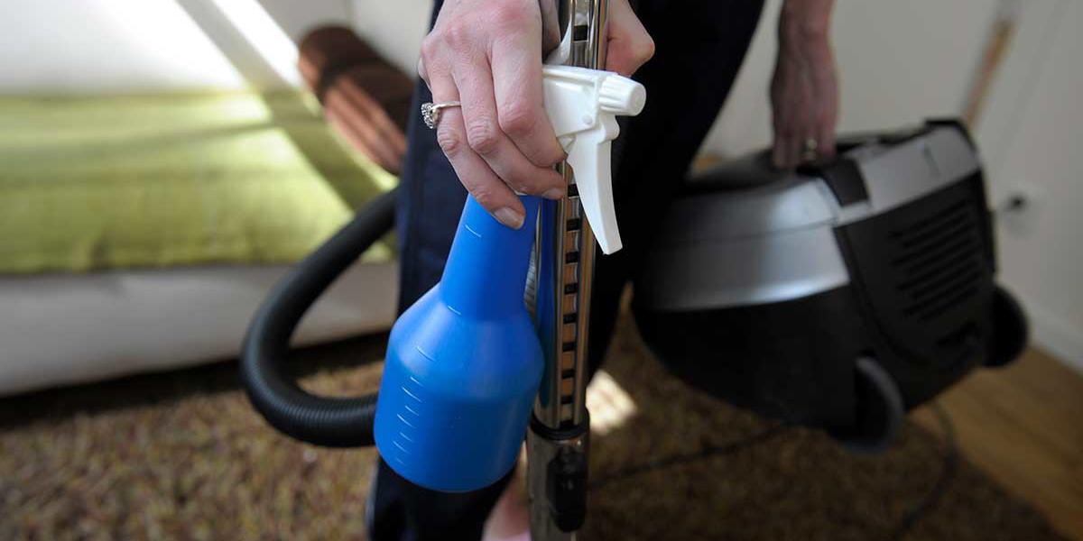 Drygt hälften av Sveriges företagsamma inom välfärdssektorn är kvinnor, och flest finns inom hushållsnära tjänster, Rut, där nästan sju av tio företagsamma är kvinnor, enligt Jakob Steinstö på Svenskt Näringsliv. (Foto: TT)