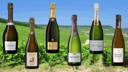 Veckans perfekta vintips – Champagnes dag: hummer, gös och en sabayon