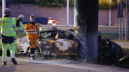 WHO: Dödsolyckor i trafiken minskar trots en miljard fler fordon