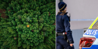 Guld som göms i skogen och ett polisbeslut som väcker ilska hos bankerna