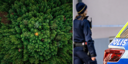 Guld göms i skogen och bankerna rasar mot polisen