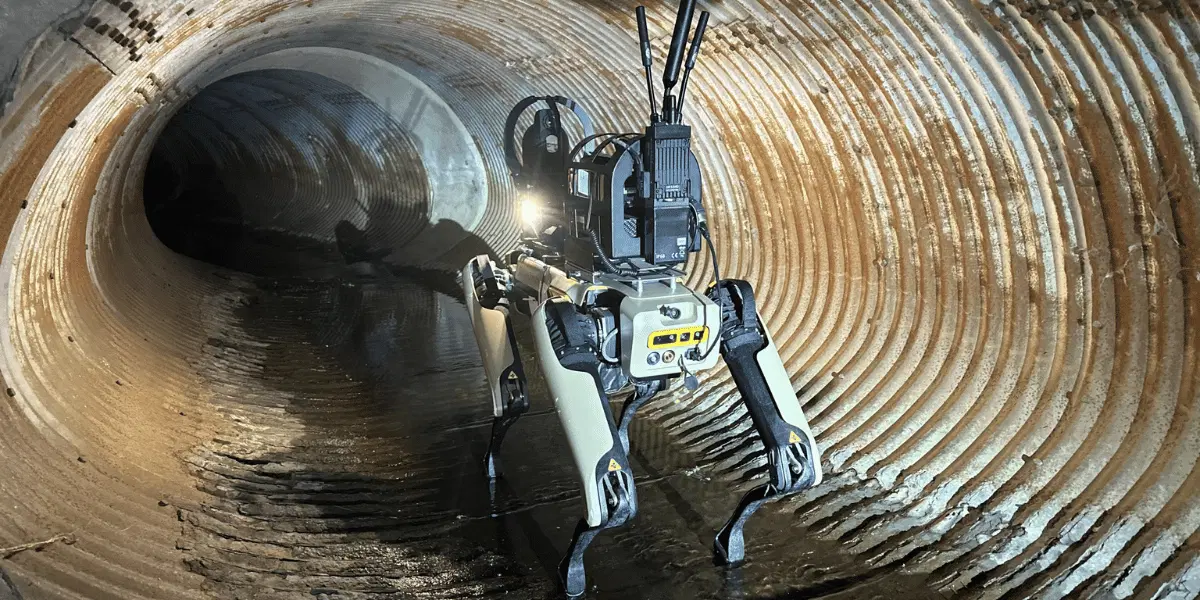 Robothunden Cerberus är en modifierad version av Boston Dynamics fyrbenta robot Spot, utrustad med sensorer för att upptäcka strålning och giftiga gaser. (Foto: Radeco)